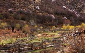 Linzhi Yarlung Zangbo Grand Canyon